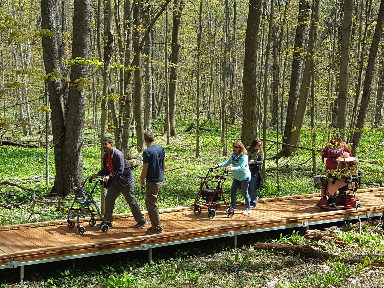 A group of people, some using wheelchairs and some using walkers, are walking on a wooden pathway that's raised up from the ground in a forest.