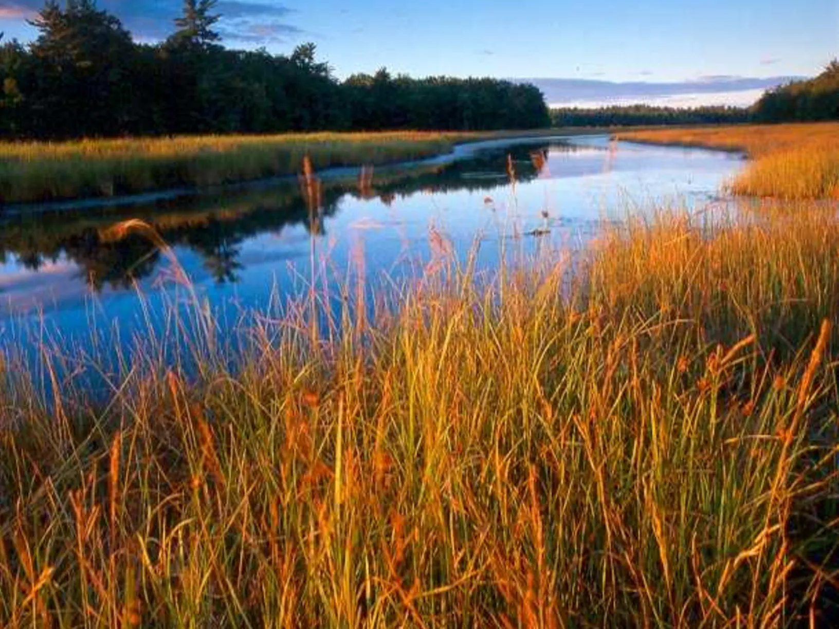 River surrounded by brown grass and trees.