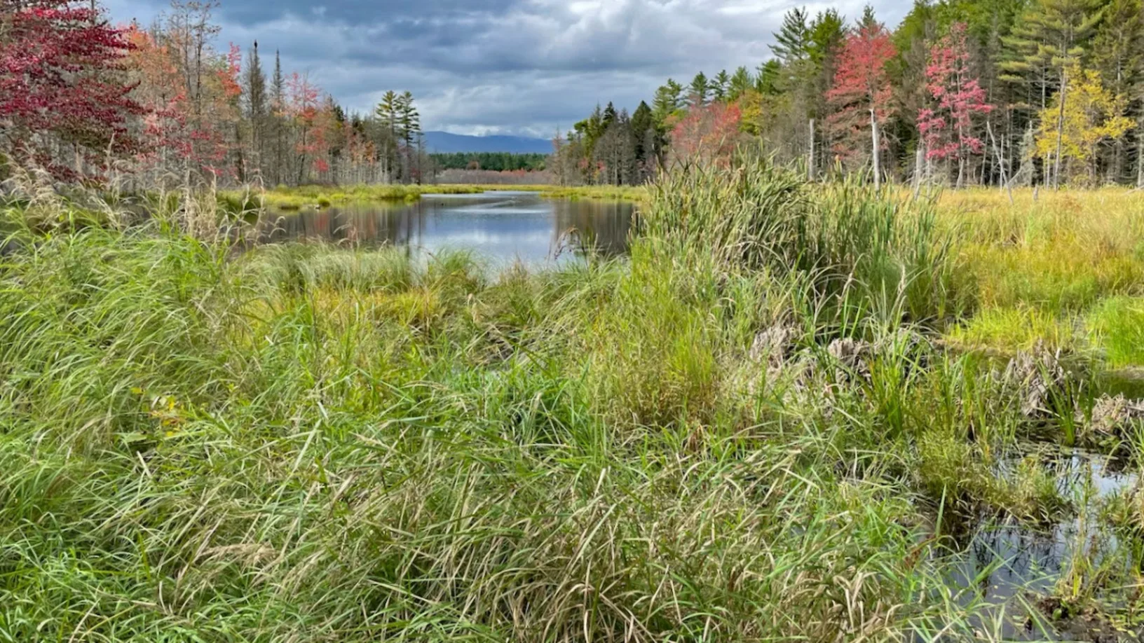 Summer Internships Land Trust Alliance