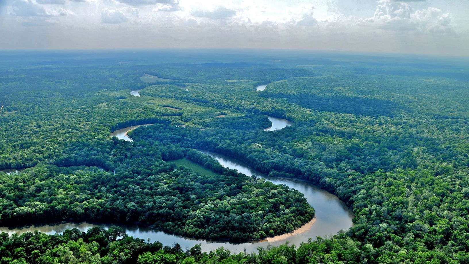 Conservation Director Land Trust Alliance