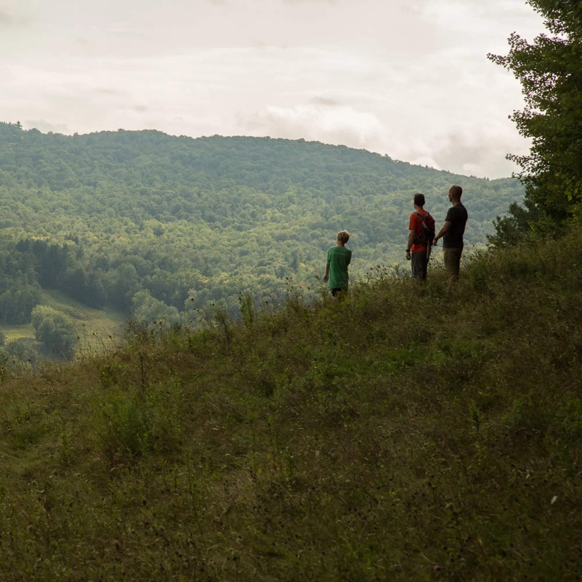 Three people standing on a grassy hill looking towards mountains filled with green trees