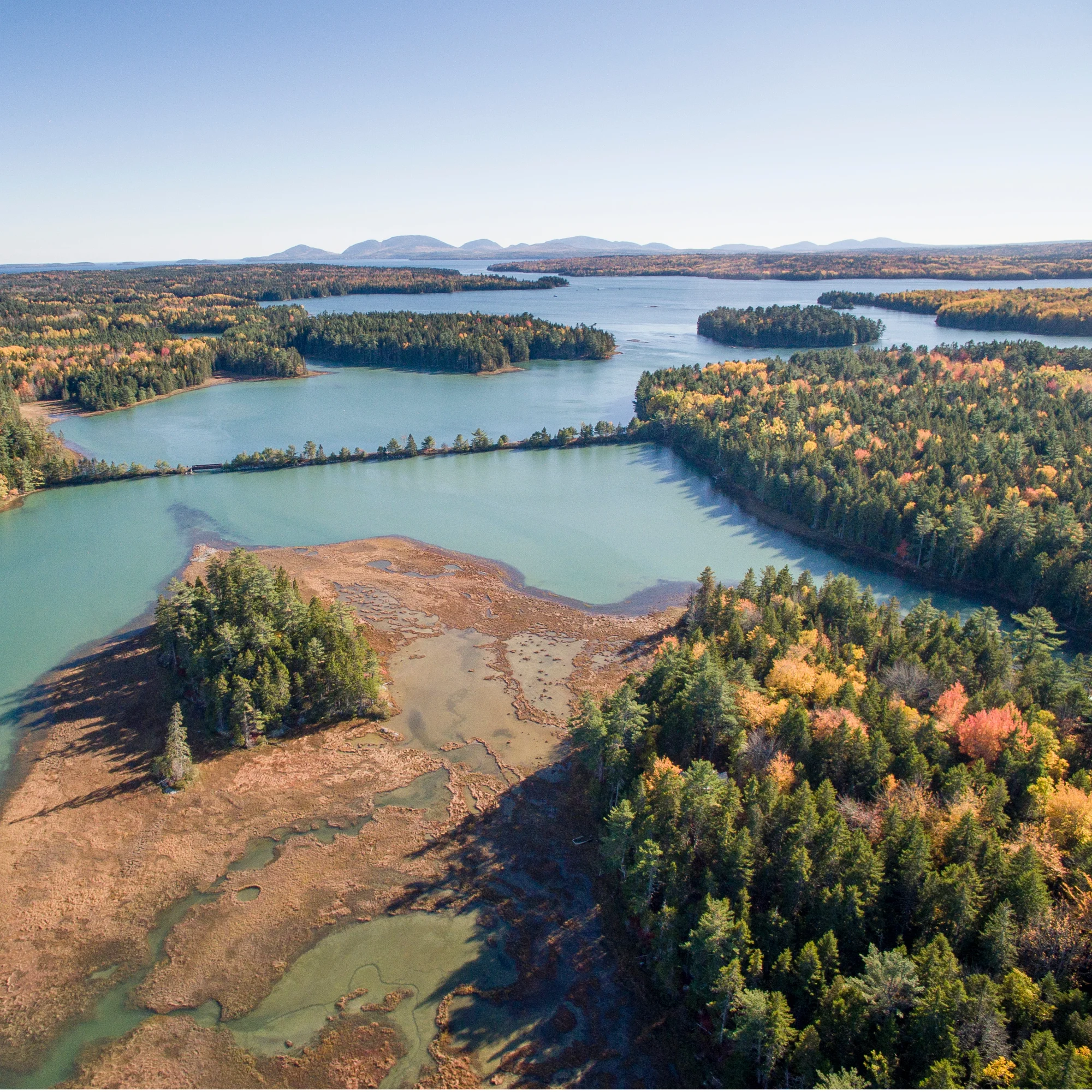 Looking down on a very blue and green body of water, surrounded by trees, most green but some brown and red