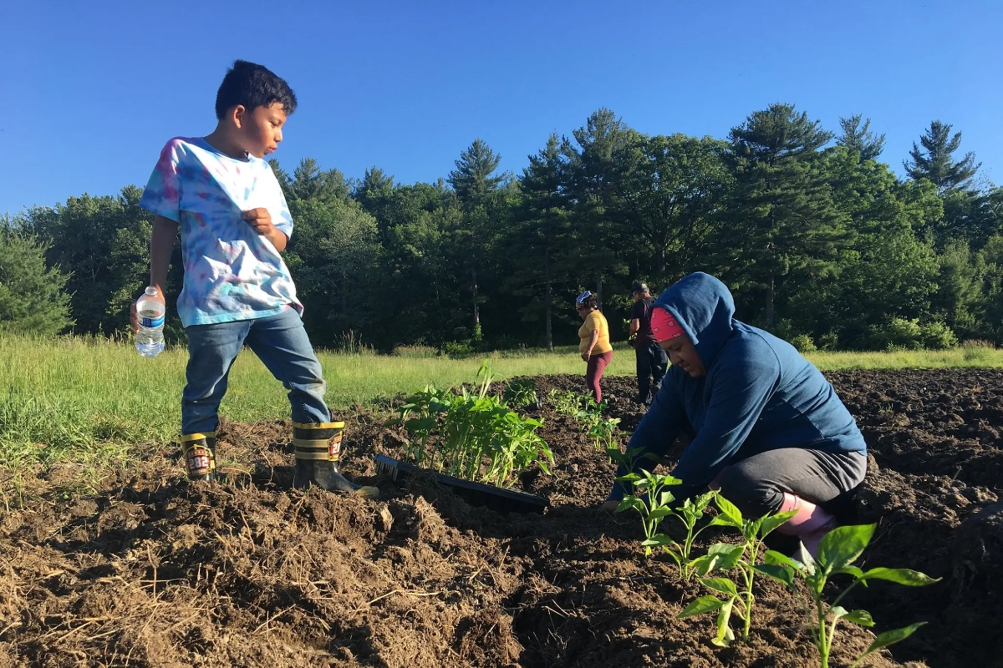 A young boy stands over a family member as they tend their plants.