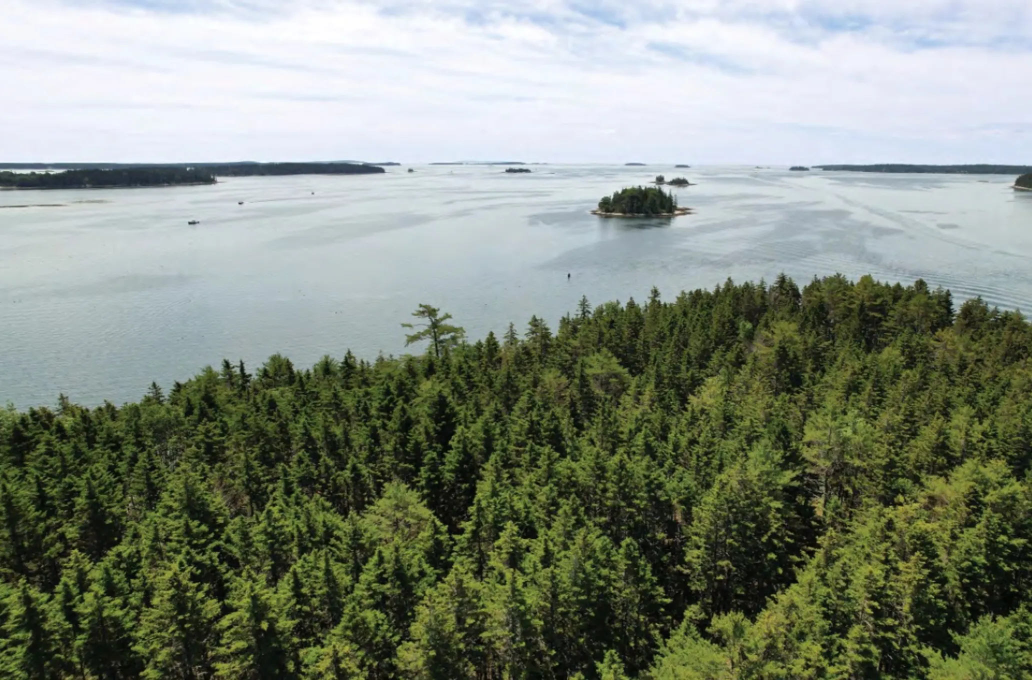 A river channel dotted by tiny islands stretches beyond pine forest in the foreground.