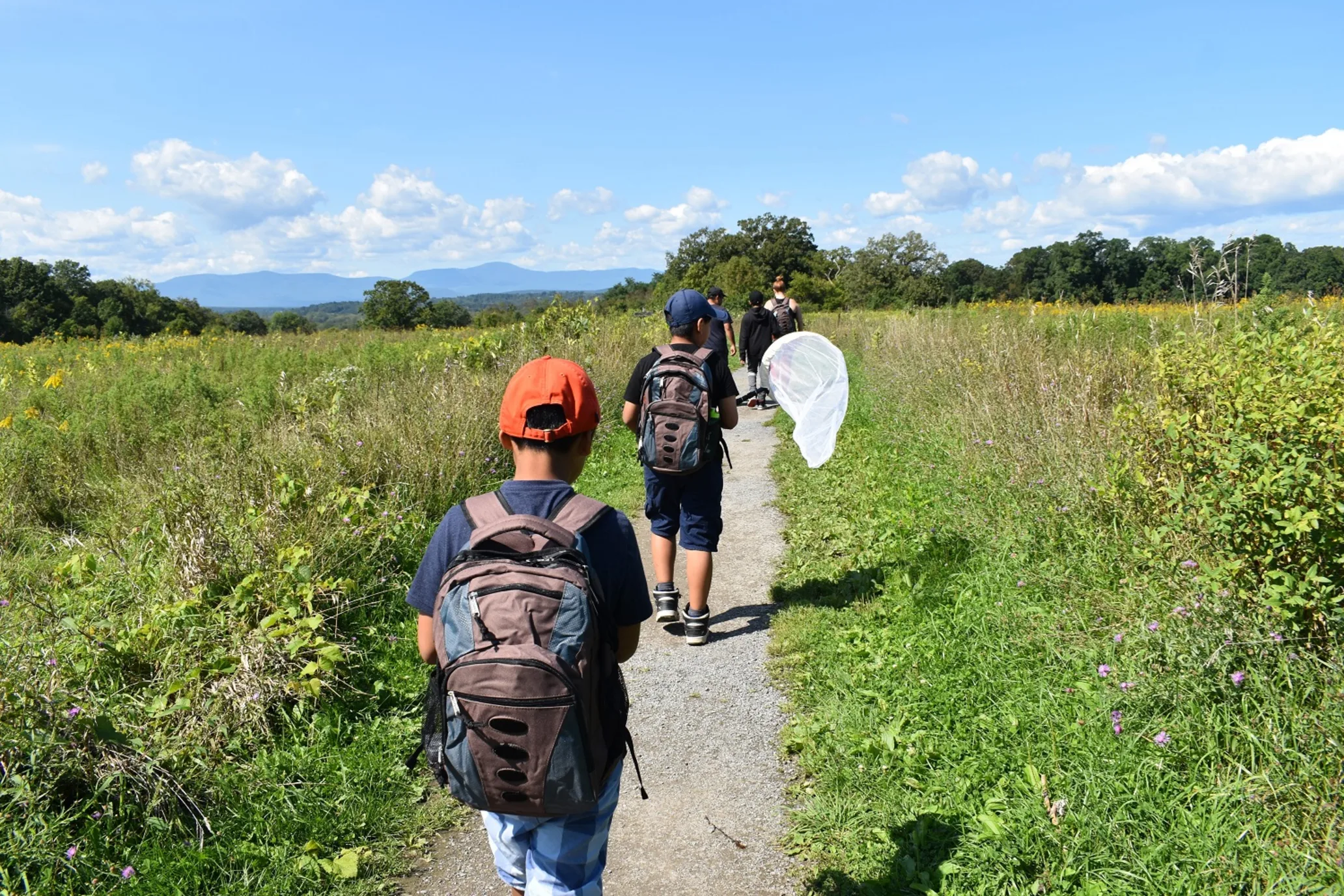 Children walk a path through wide grassy field, wearing their explorer backpacks and carrying butterfly nets.