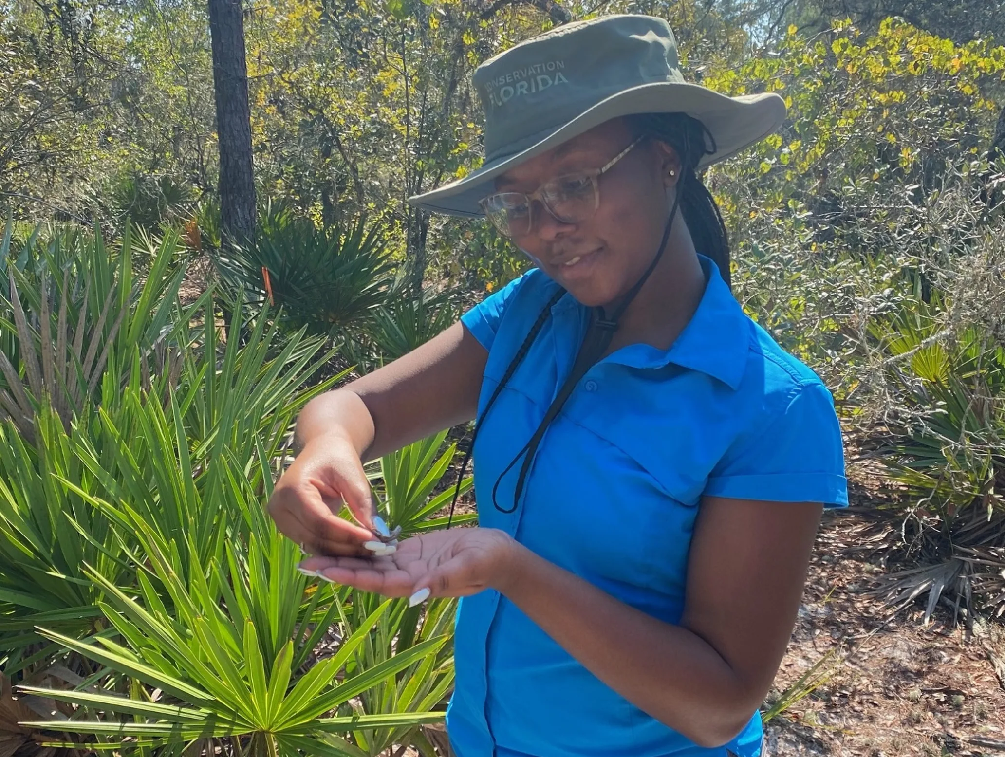 A young Black woman holds a small amphibian in her hand to count on a preserve home to critical Florida scrub habitat and scrubby flatwoods.