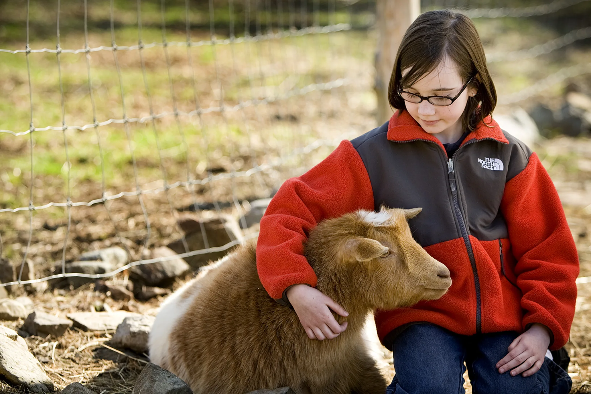 A young girl sits inside a farm enclosure with her arm around a calm goat.