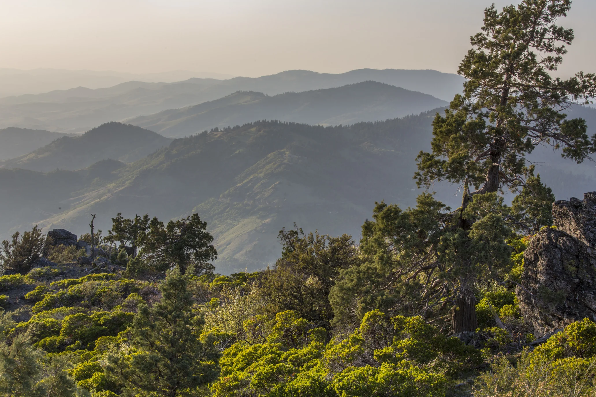 Green, tree-covered mountains stretch into the distance underneath a hazy sky, captured from the Cascade-Siskiyou National Monument in Oregon.