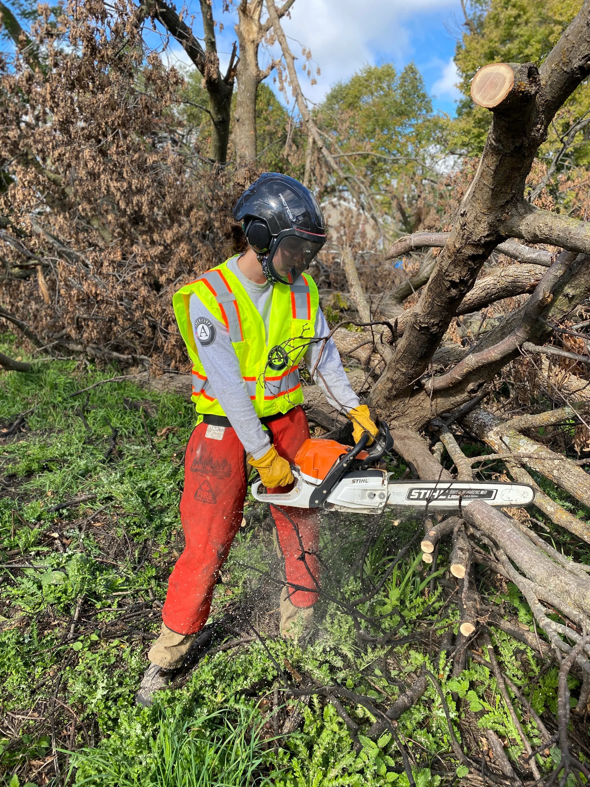 A person in a helmet and working clothes using a chainsaw on a downed tree.