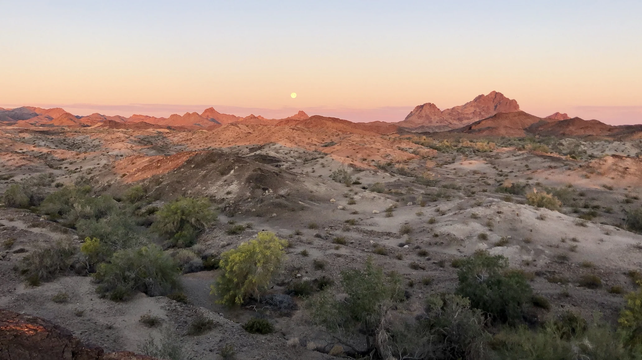 Moon rising over red rock hills behind a desert