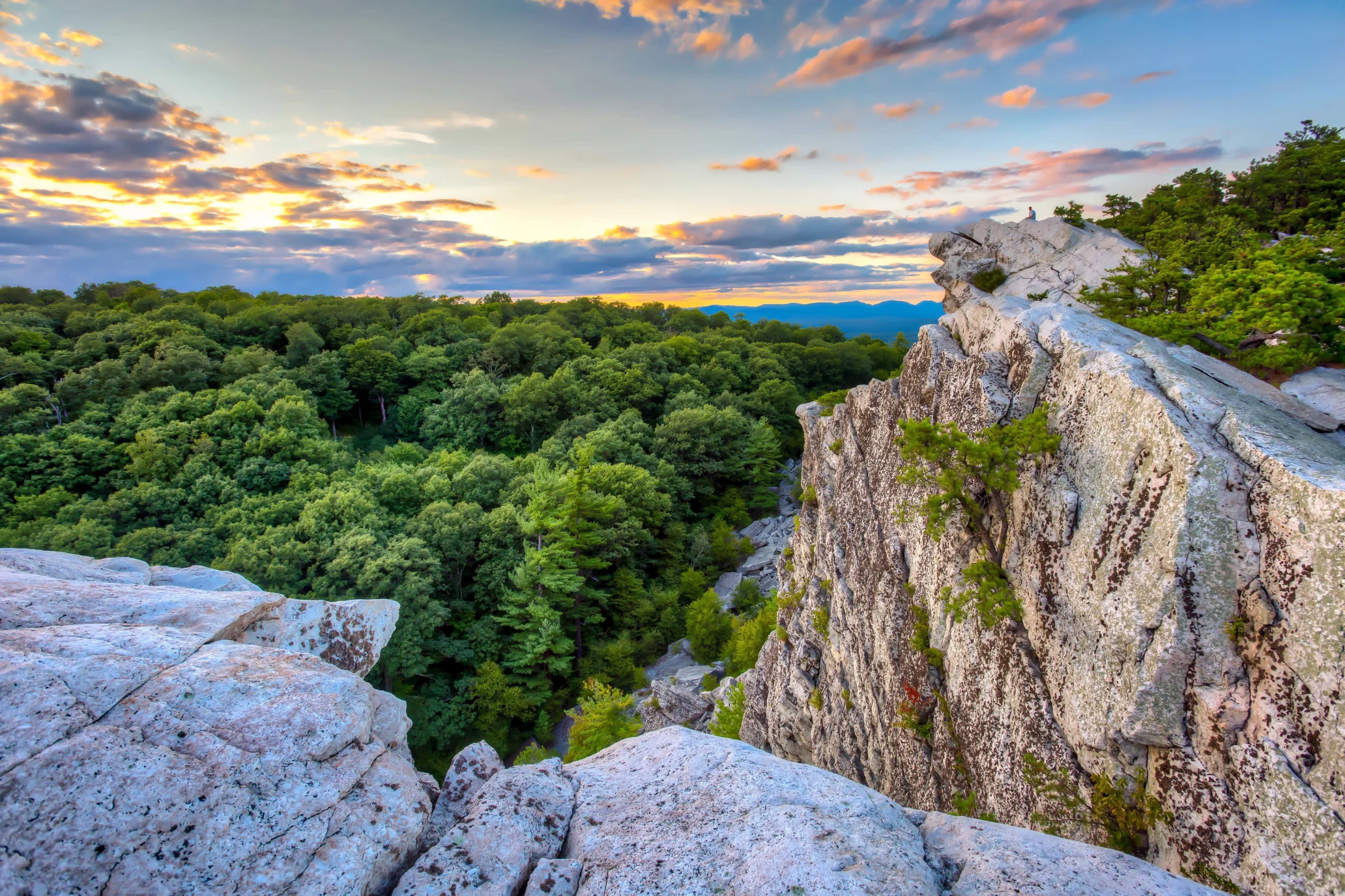 View from a cliff with forests below