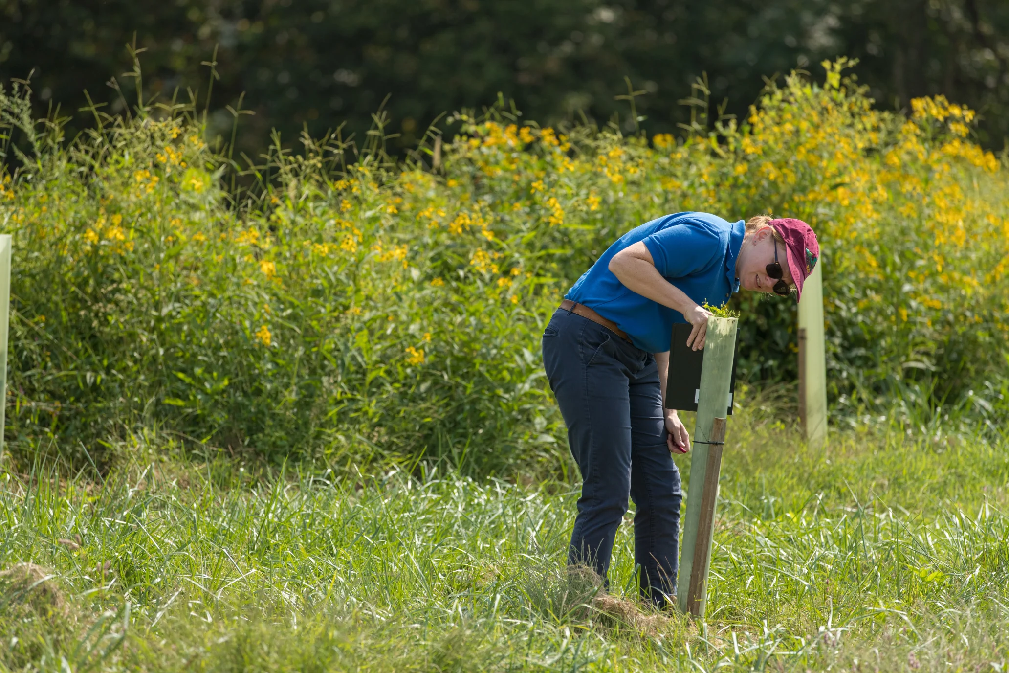 Volunteer Opportunities For Conservation Land Trust Alliance volunteer-opportunities-for-conservation-land-trust-alliance