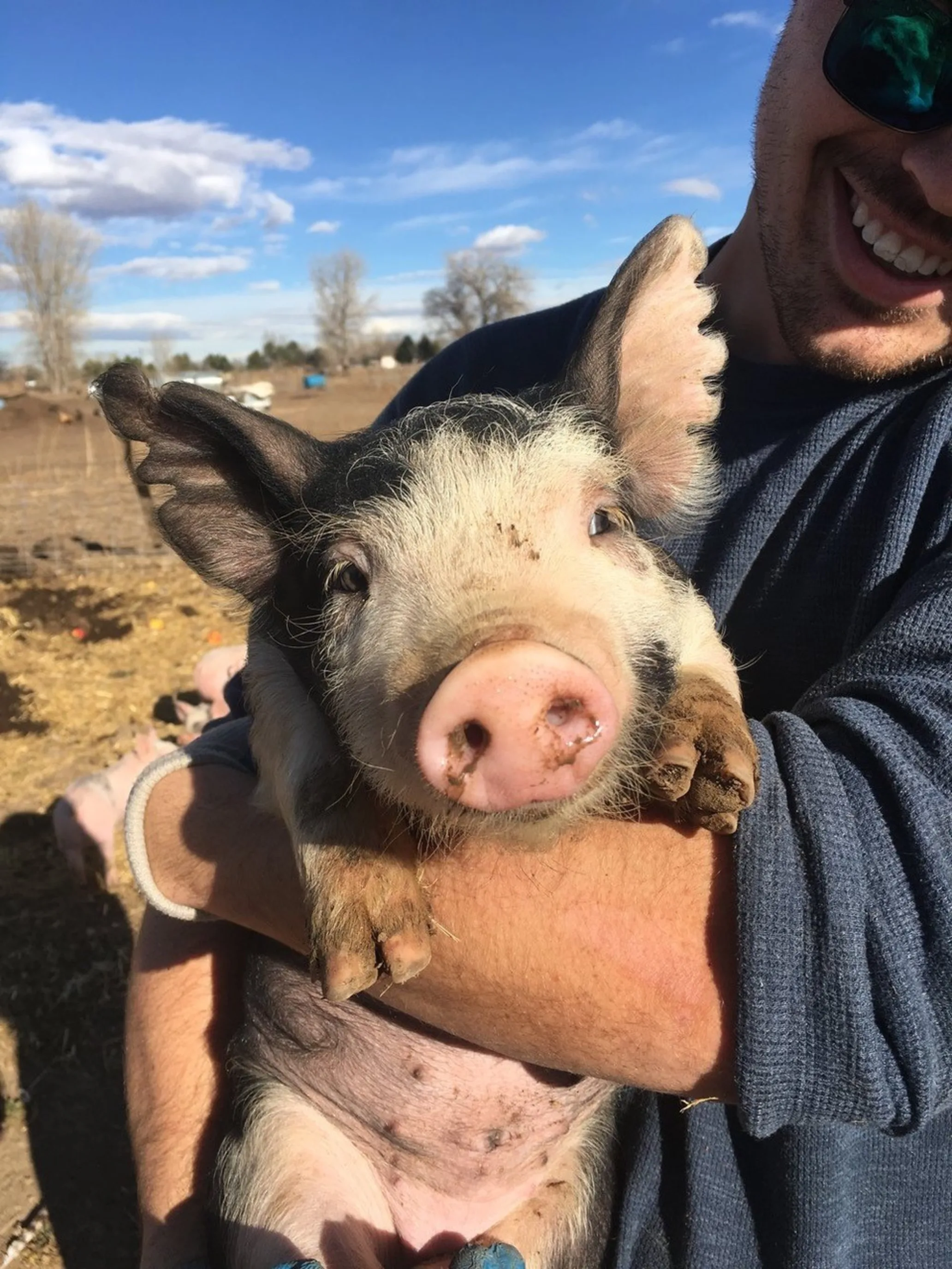 Person with sunglasses holding a baby pig in their arms