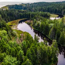 New England Forestry Foundation