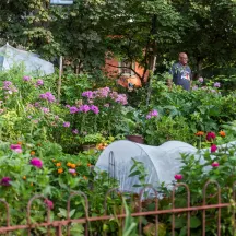 Neighborhood Gardens Trust