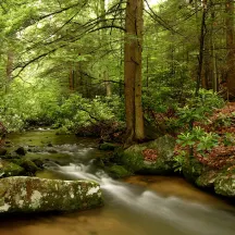 Western Pennsylvania Conservancy