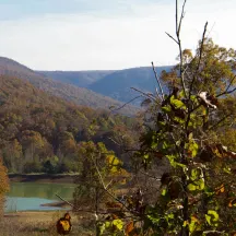 Georgia-Alabama Land Trust