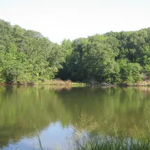 Cove Point Natural Heritage Trust