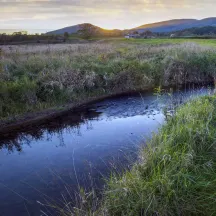 West Virginia Land Trust