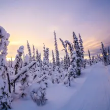 Interior Alaska Land Trust