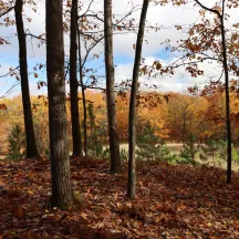 Chippewa Watershed Conservancy