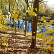 Six Rivers Land Conservancy