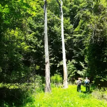 Conservancy for Charles County