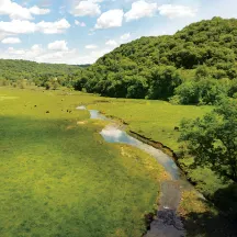 Mississippi Valley Conservancy