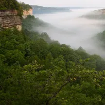 TennGreen Land Conservancy