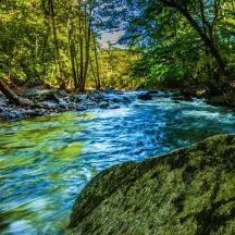 Pocono Heritage Land Trust