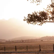 Montezuma Land Conservancy