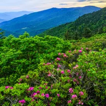 Southern Appalachian Highlands Conservancy