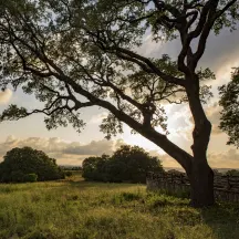 Hill Country Conservancy