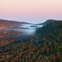 Michigan Nature Association