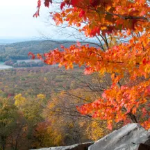 Lebanon Valley Conservancy