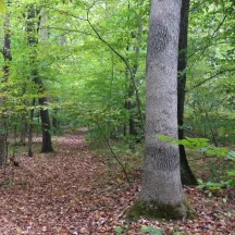 Livingston Land Conservancy