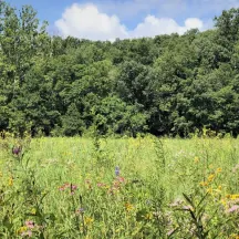 Ouabache Land Conservancy