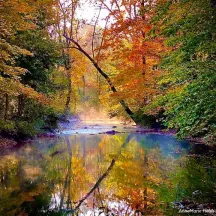 French and Pickering Creeks Conservation Trust