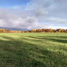 Mid-Michigan Land Conservancy