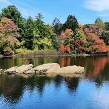 Wellesley Conservation Land Trust