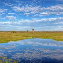 Conservation Foundation of the Gulf Coast