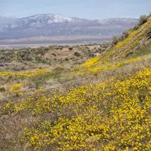 Transition Habitat Conservancy