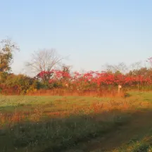 Sebasticook Regional Land Trust