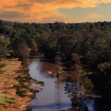 Wolf River Conservancy