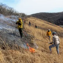 The Prairie Enthusiasts