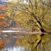 Merrill W. Linn Land & Waterways Conservancy