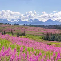 Kachemak Heritage Land Trust