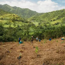 Para La Naturaleza