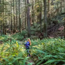 Bainbridge Island Land Trust