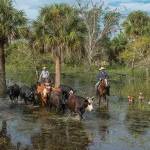 Florida Conservation Group